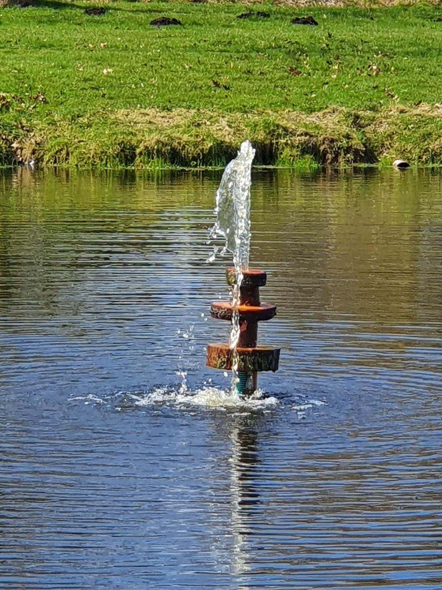 Idyllisches-Blockbohlenhaus-Mit-Eigenem-Garten-Und-Sauna-Zum-Wohlfuehlen Martensrade Esterno foto