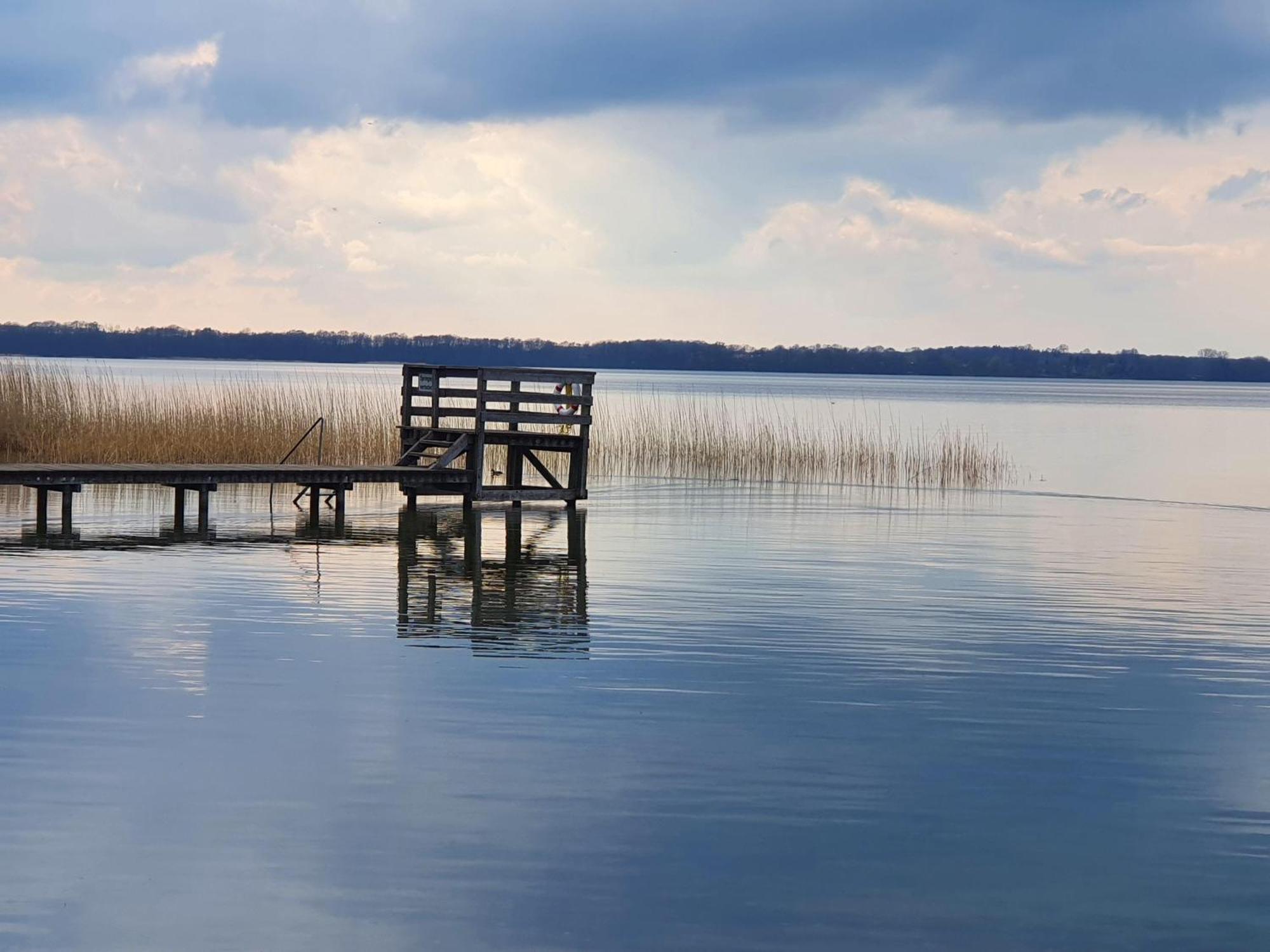 Idyllisches-Blockbohlenhaus-Mit-Eigenem-Garten-Und-Sauna-Zum-Wohlfuehlen Martensrade Esterno foto