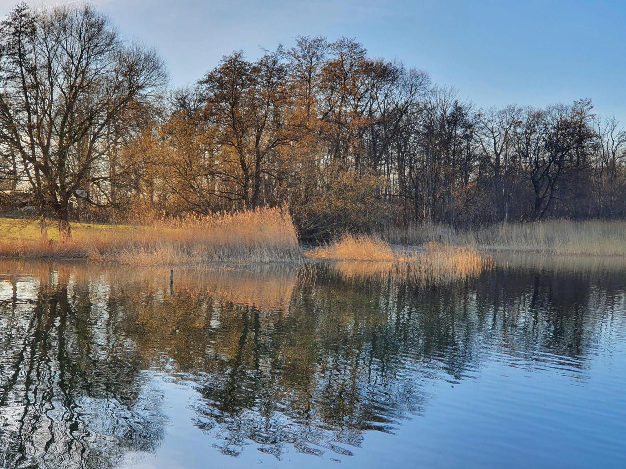 Idyllisches-Blockbohlenhaus-Mit-Eigenem-Garten-Und-Sauna-Zum-Wohlfuehlen Martensrade Esterno foto